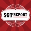 程序图标：SGT Report
