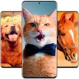 Ikon program: Animal Wallpapers Full HD…