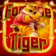 Kto Fortune Tiger