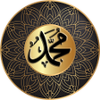 プログラムのアイコン：Sesli Görüntülü Sureler