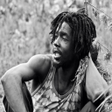 Icon of program: Peter Tosh Songs