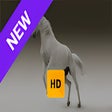 Icon of program: White Horse Wallpaper HD …