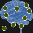 Icon of program: Dont Waste Time Brain Tra…