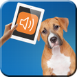 Icoon van programma: animal translation prank