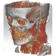 Иконка программы: DroidRender - 3D DICOM vi…