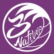 Ícone do programa: 3Natives