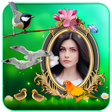 Icon of program: Birds 3D Live Wallpaper