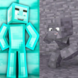 程序图标：Camouflage Skins