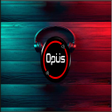 プログラムのアイコン：DJ TiKt0k 2O22 Offline