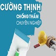 Ikon program: Cường Thịnh JSC