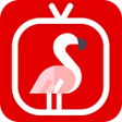 程序图标：NetMirror - Movies Web Se…