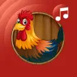 rooster ringtones for phone
