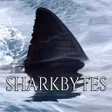 أيقونة البرنامج: Shark Bytes