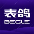 程序图标：表鸽