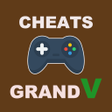 Programikonen: Cheat Codes for gt 5 V