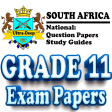 Grade 11 Past Papers and Guide