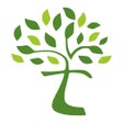 Иконка программы: Network Tree Co.
