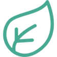 Programikonen: Clipory
