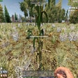 Icon of program: Random Regrowing Wild Cro…