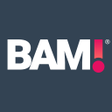 程序图标：BAM! Mobile Sales Tool