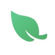 Ikon program: Leaf VPN