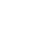 程序图标：Startrs AI