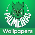 程序图标：Palmeiras Wallpapers do V…