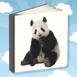 Ícone do programa: Picture Book For Toddlers
