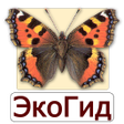 프로그램 아이콘: EcoGuide: Russian Butterf…