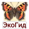 EcoGuide: Russian Butterflies