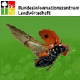 プログラムのアイコン：Nützlinge im Garten