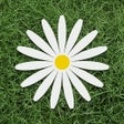 Icoon van programma: Megaflowers - доставка цв…