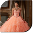 程序图标：Quinceanera Dresses