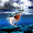 程序图标：Storm live wallpaper
