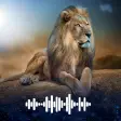 Lion sounds Ringtones