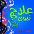 Icon of program: Tib-E-Nabvi
