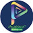 ไอคอนของโปรแกรม: PlusNaija