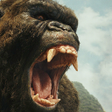 Ícone do programa: Kaiju Godzilla vs King Ko…