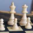 プログラムのアイコン：Chessvis