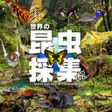 プログラムのアイコン：世界の昆虫採集ライト版