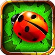 أيقونة البرنامج: Big Bug Smash 2 - Amazing…