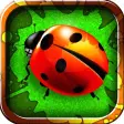 Big Bug Smash 2 - Amazing Ant Squish Crusher Man it Up Game HD