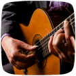 プログラムのアイコン：Fingerstyle Guitar Lesson…