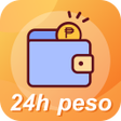 程序图标：24h peso