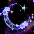 程序图标：moonlight rose for HOMEきせ…