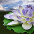 Icon of program: Lotus Flower Wallpapers