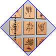 أيقونة البرنامج: wood craft project ideas