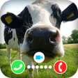 Icon of program: Cow Dance Fake Video Call