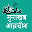 プログラムのアイコン：Muntakhab Ahadith - In Hi…