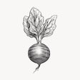 Icoon van programma: Well Nourished